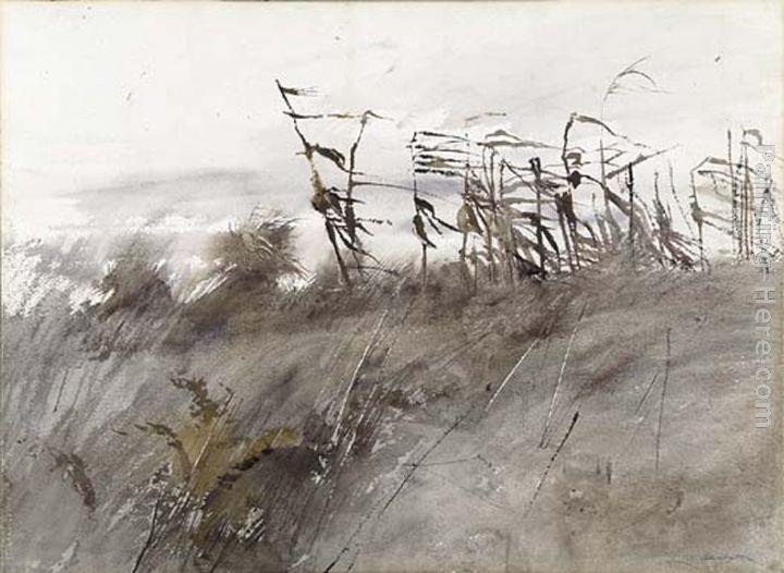 Andrew Wyeth November First